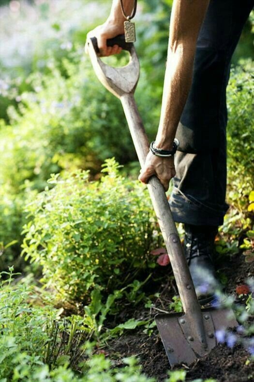 Garden Development